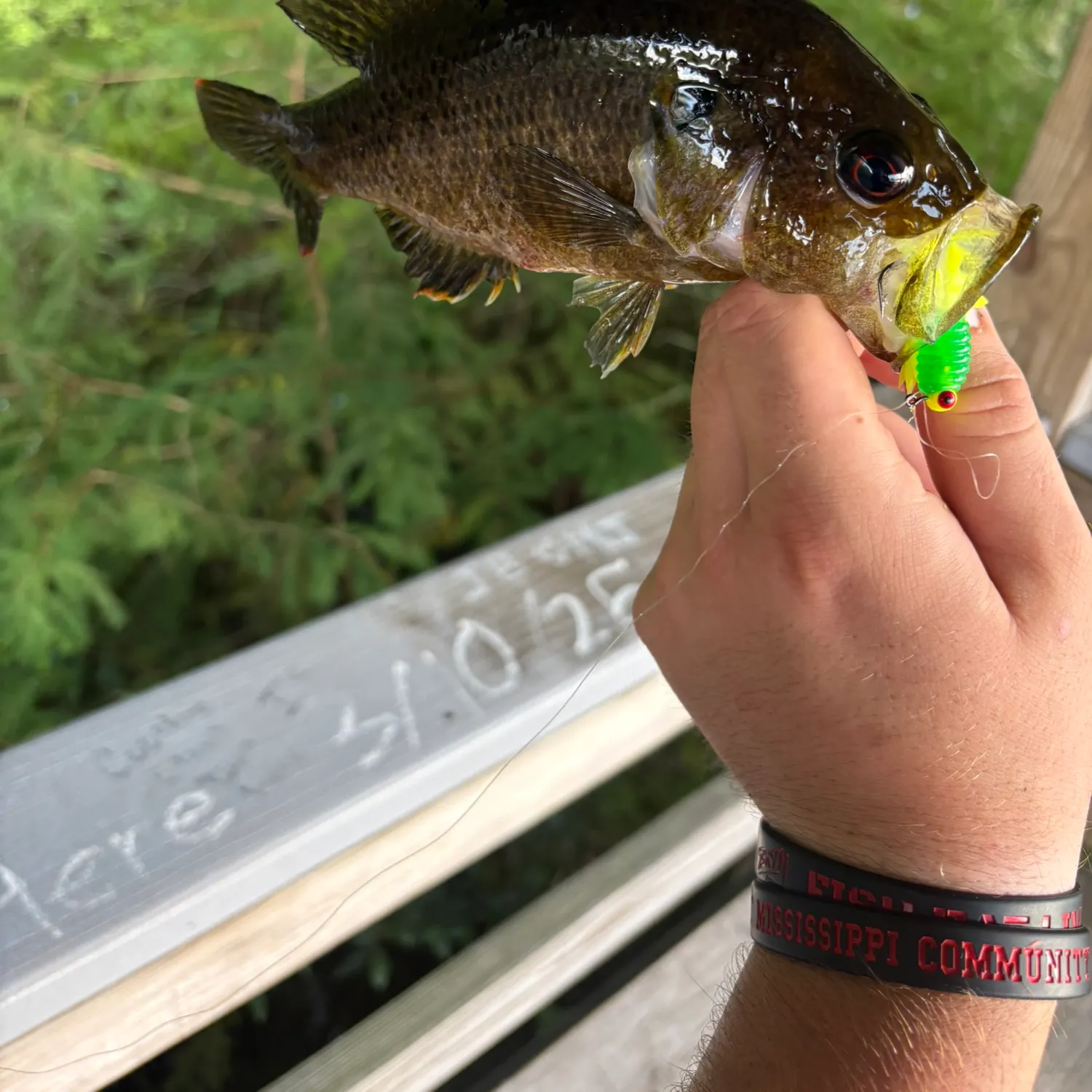 recently logged catches
