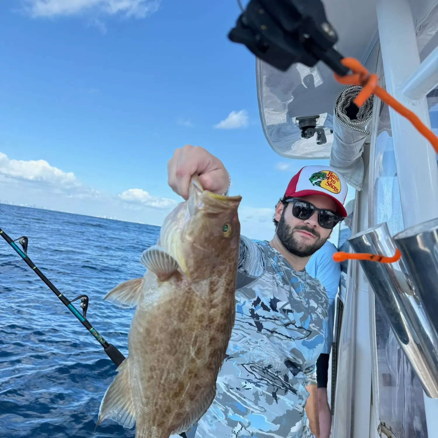 The most recent Scamp grouper catches on Fishbrain