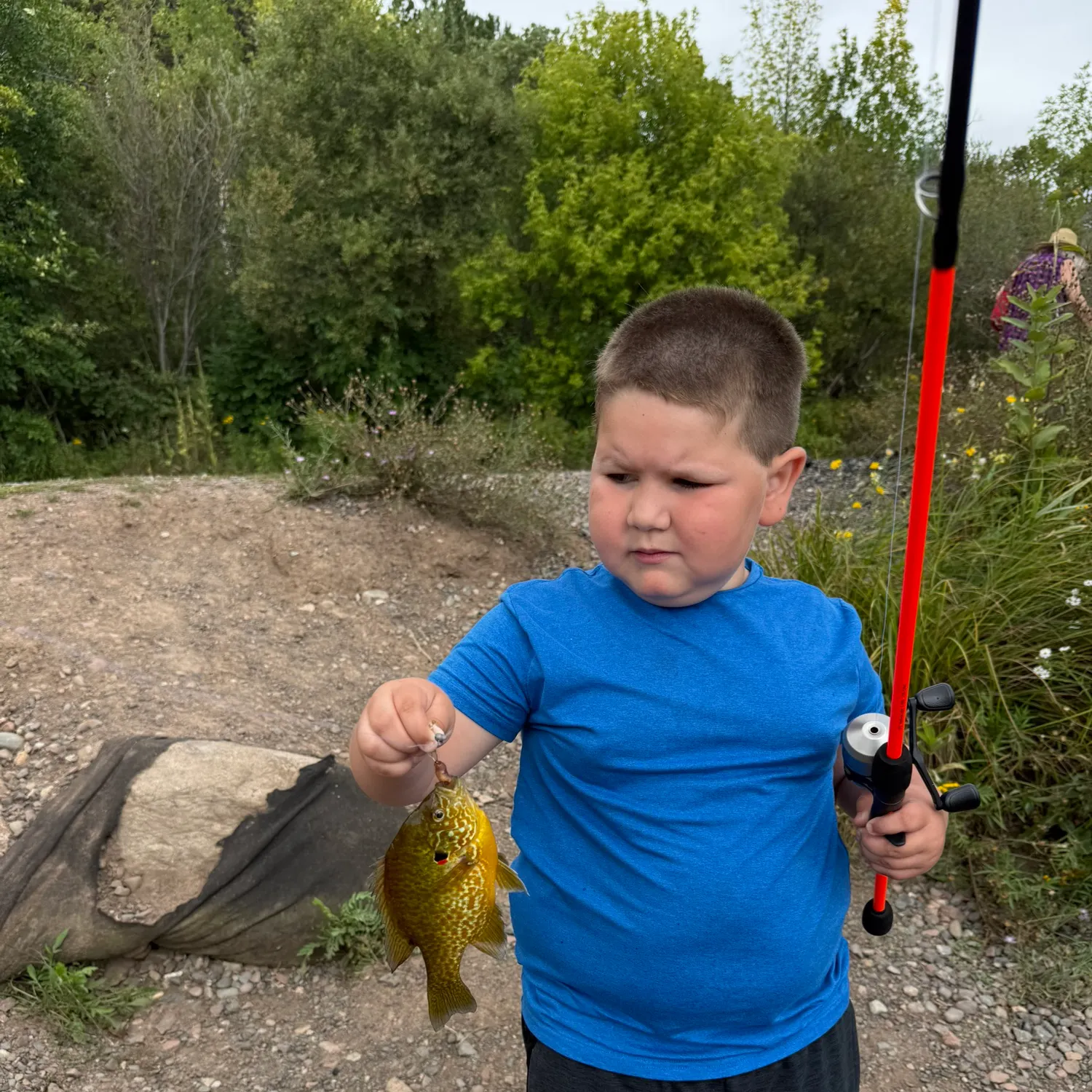 Pumpkinseed caught on Fishbrain