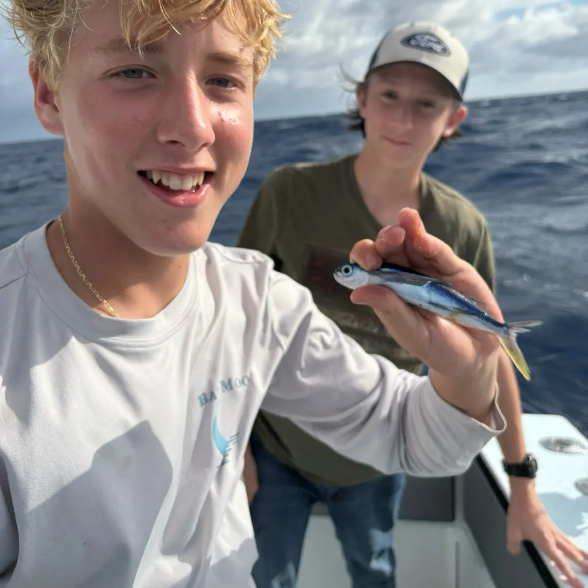 The most recent Sailfin flyingfish catches on Fishbrain