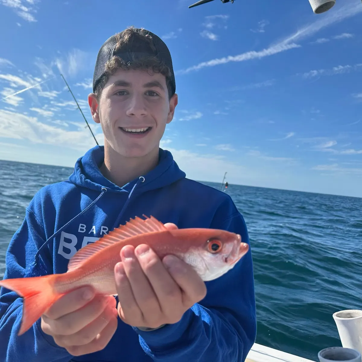 The most recent Vermilion snapper catches on Fishbrain