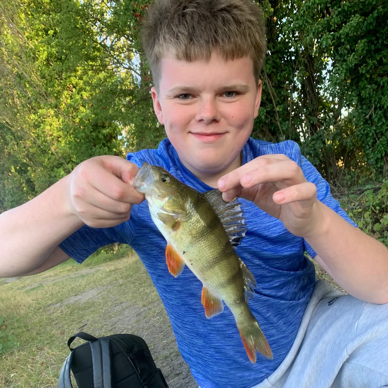 European perch caught on Fishbrain