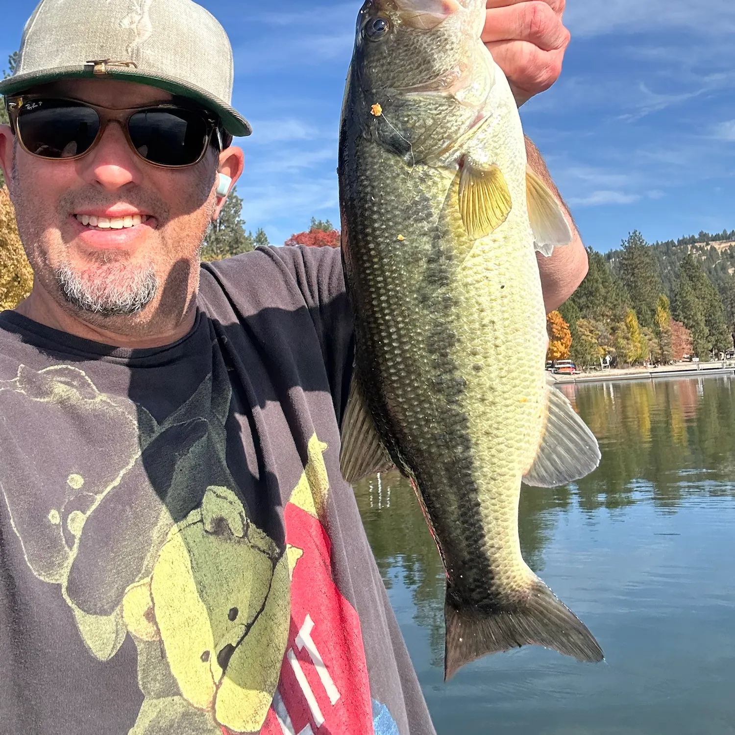 Largemouth bass caught on Fishbrain