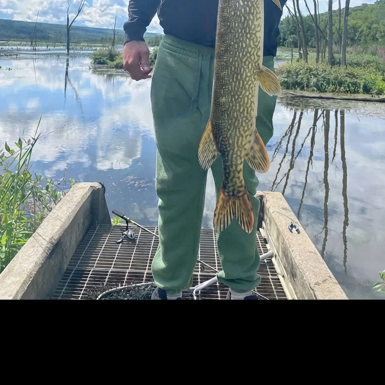 Northern pike caught on Fishbrain