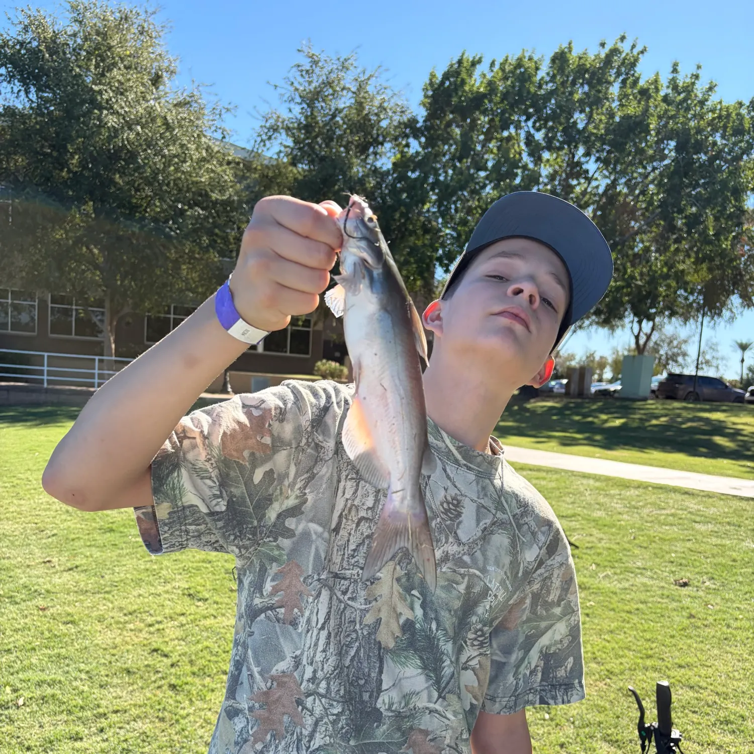 Channel catfish caught on Fishbrain