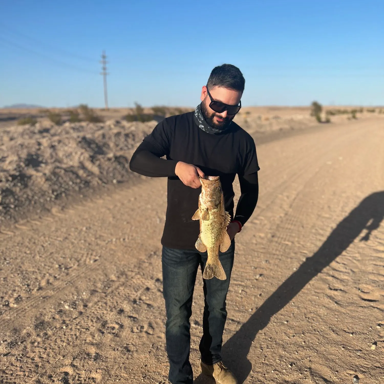 angler catch