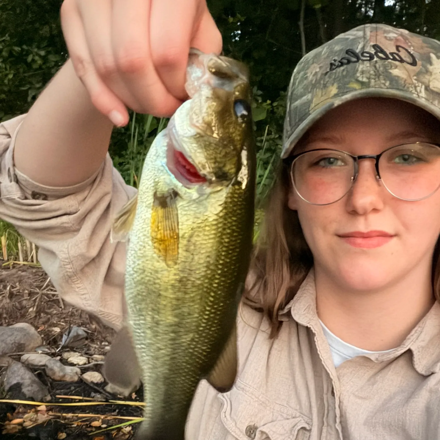 Largemouth bass caught on Fishbrain