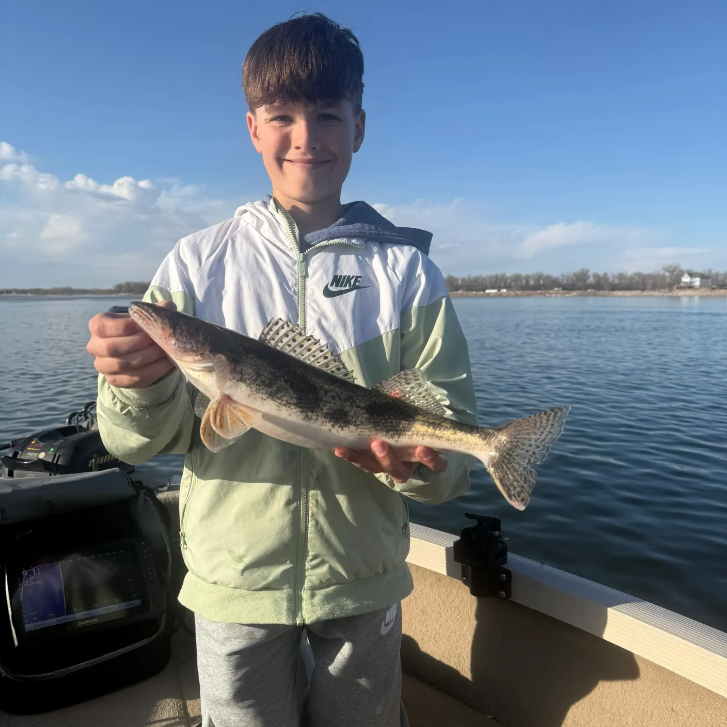 The most recent Sauger catches on Fishbrain