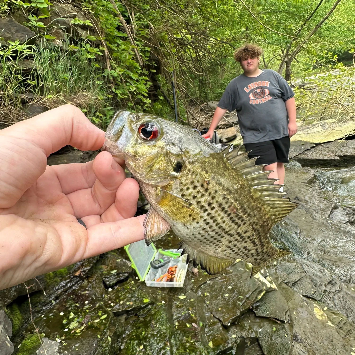catch