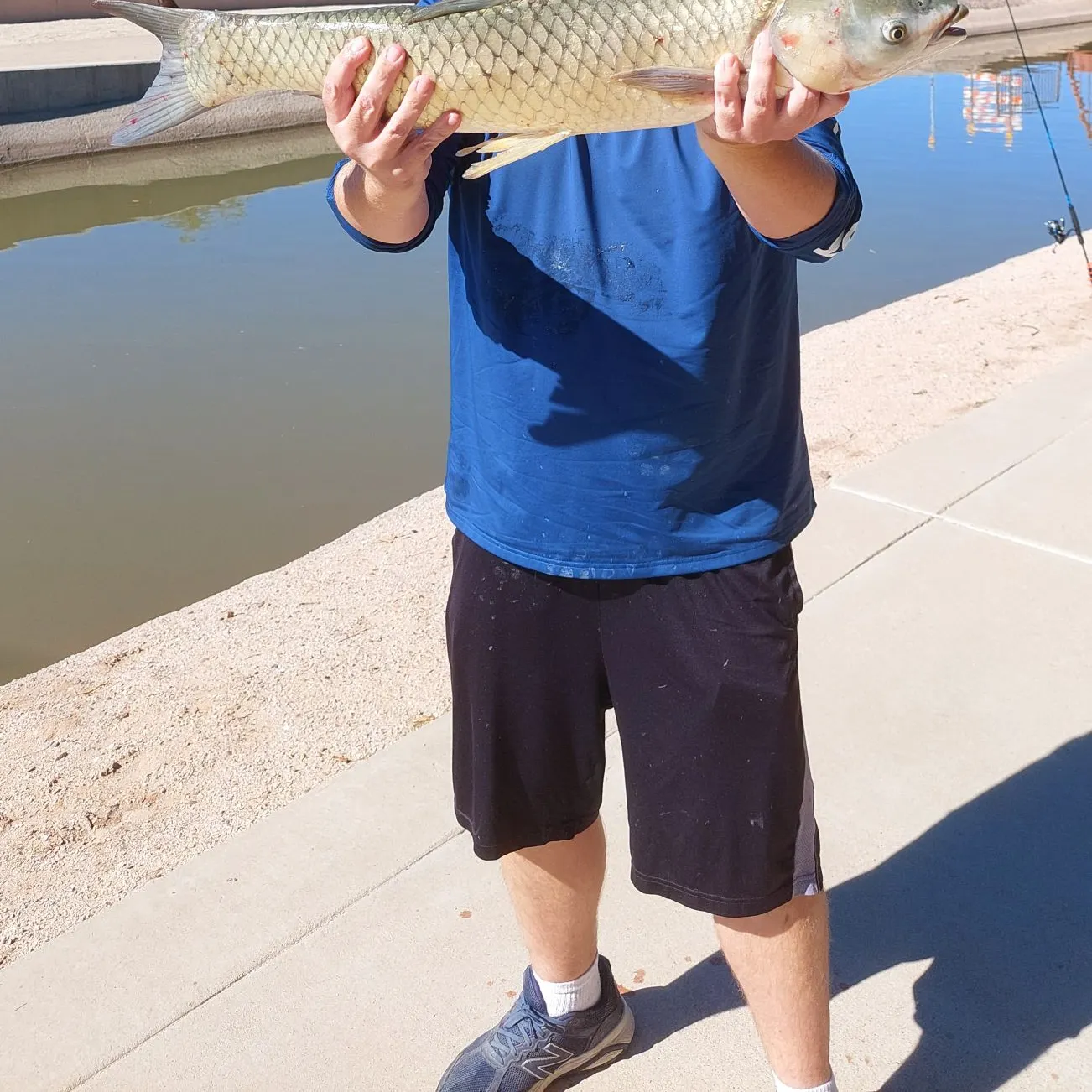 Grass carp caught on Fishbrain