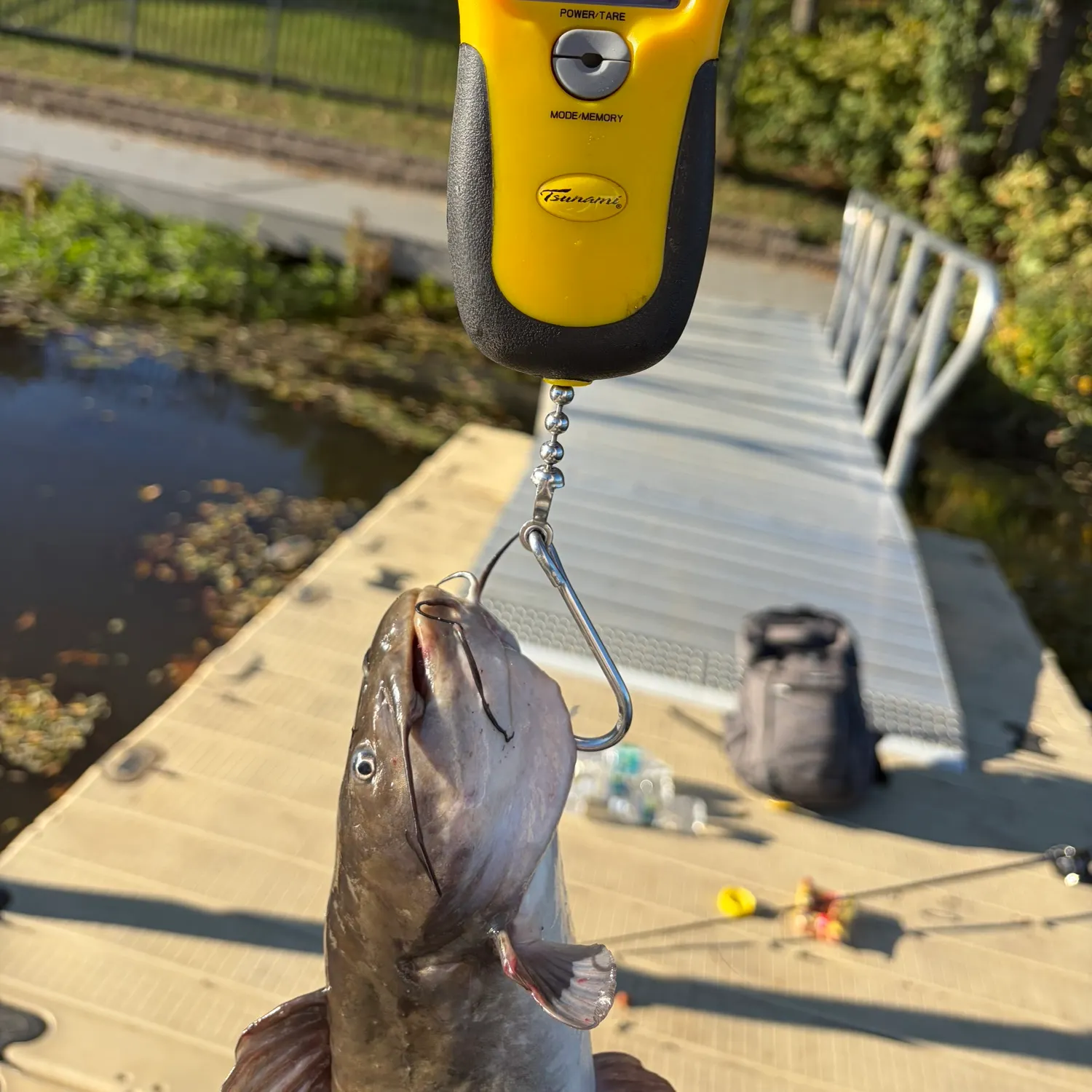 catch