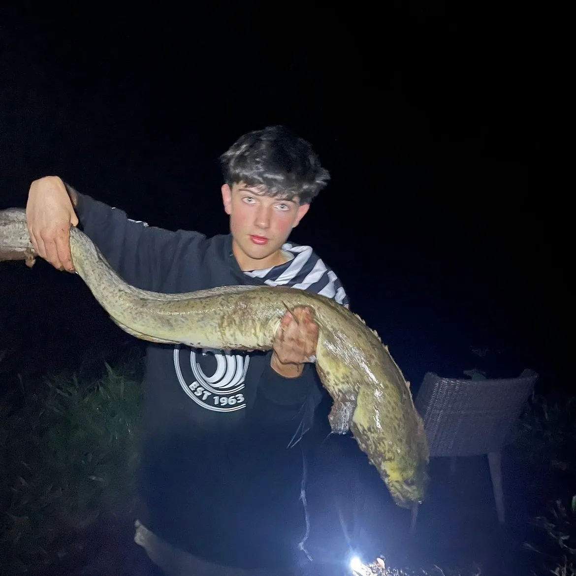 The most recent New Zealand longfin eel catches on Fishbrain