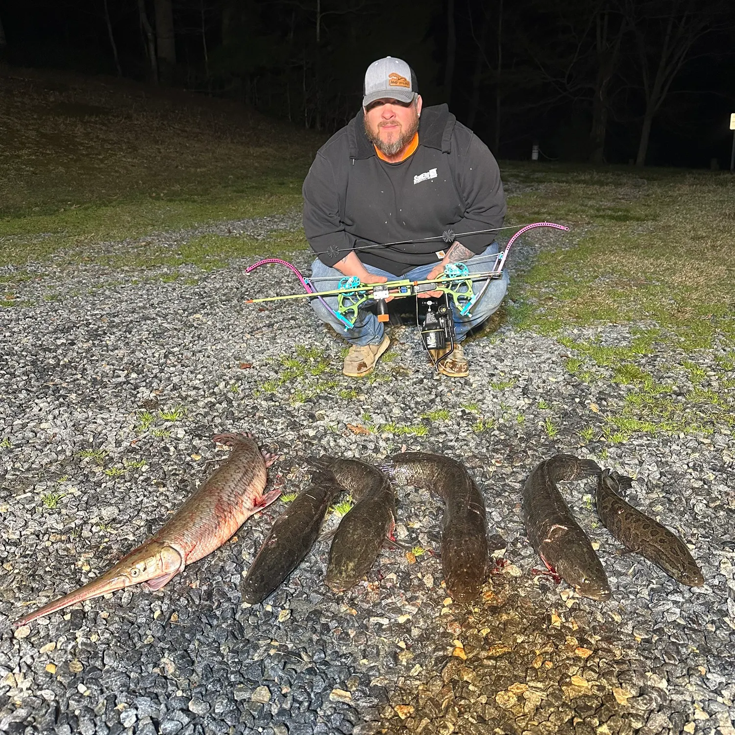 The most recent Northern snakehead catches on Fishbrain