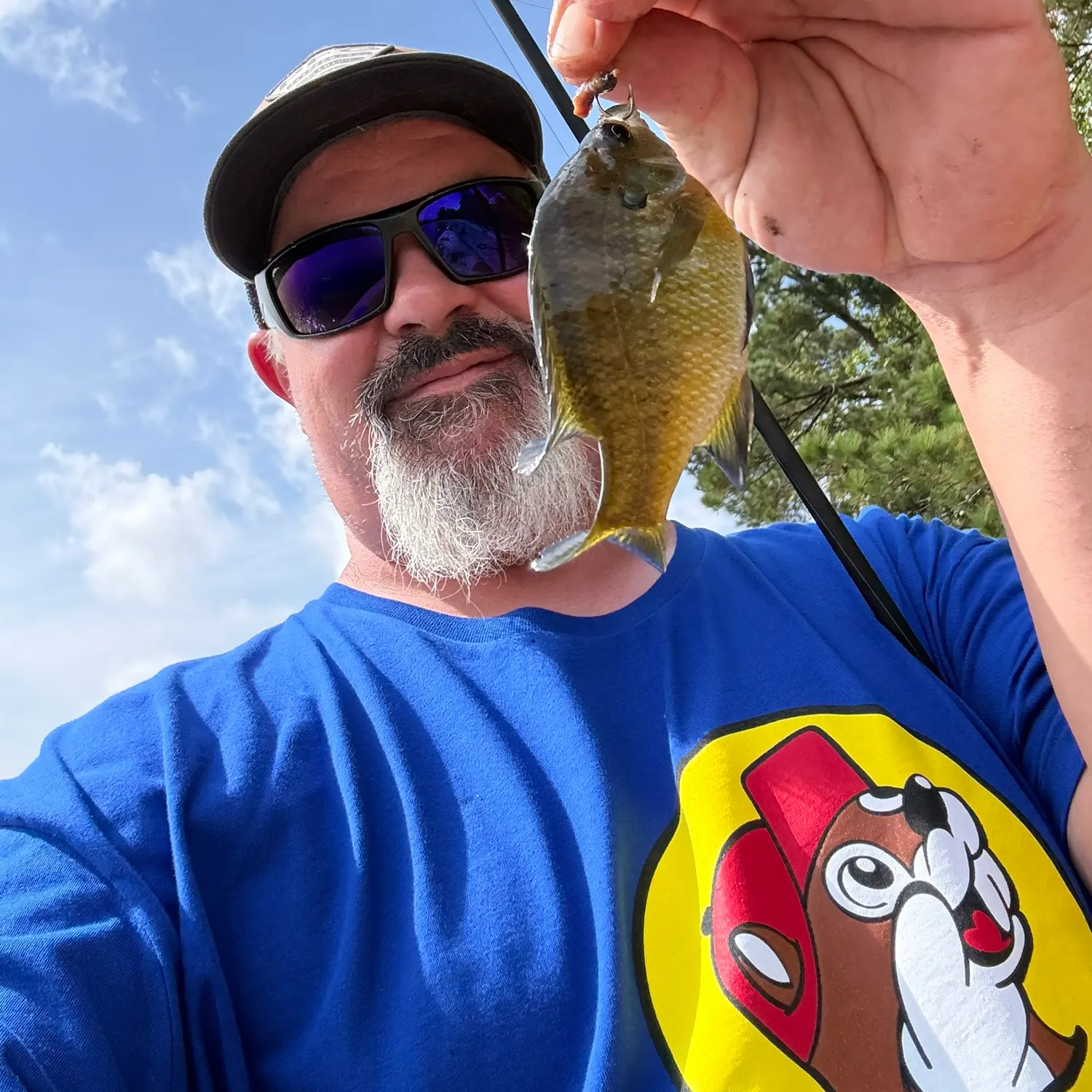 Bluegill caught on Fishbrain