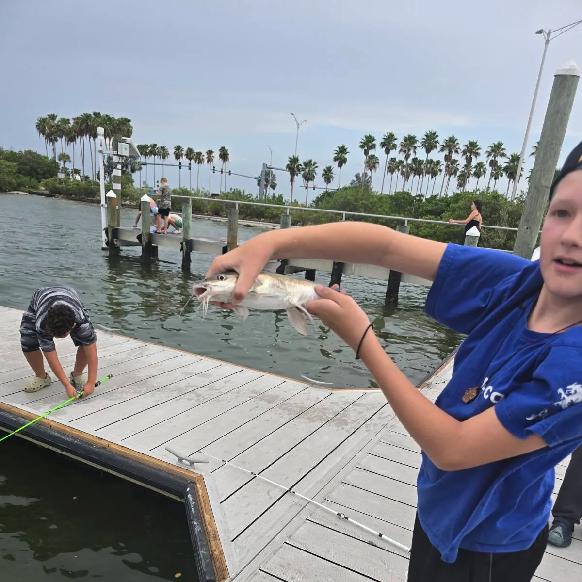 The most recent Giant sea catfish catches on Fishbrain