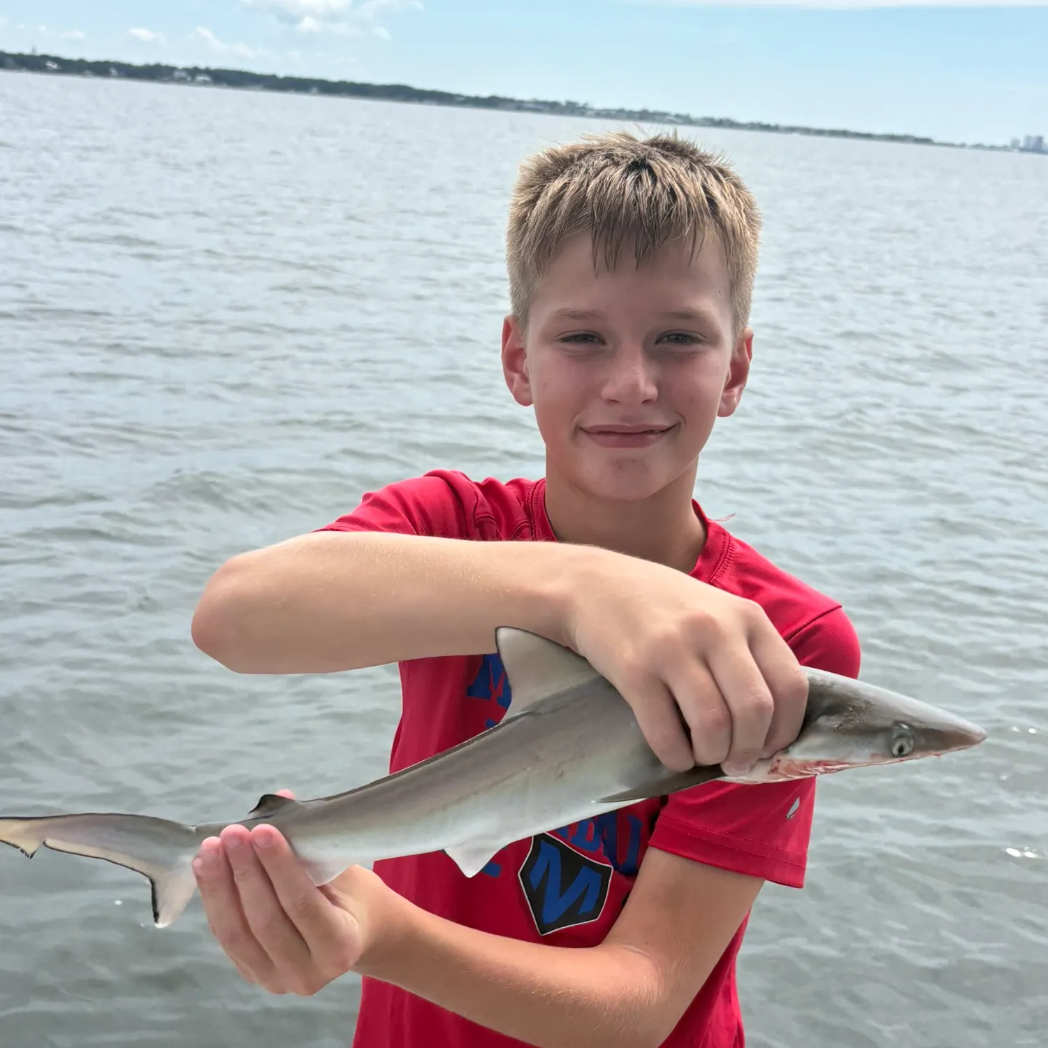 The most recent Atlantic sharpnose shark catches on Fishbrain