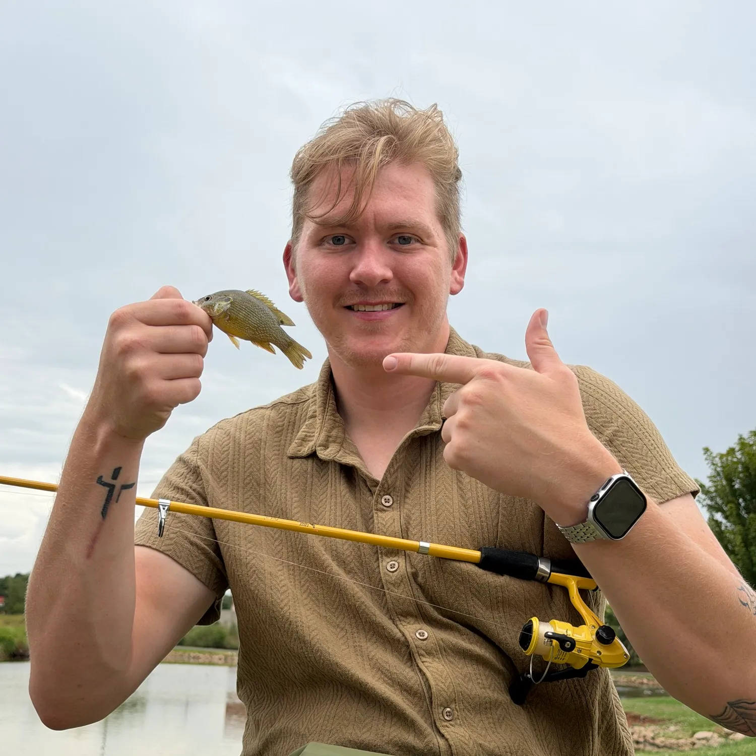 Green sunfish caught on Fishbrain