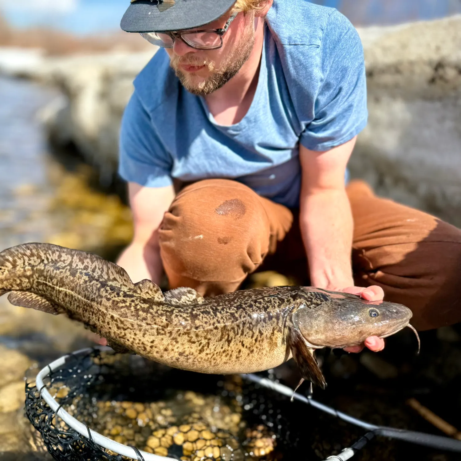 The most recent Burbot catches on Fishbrain