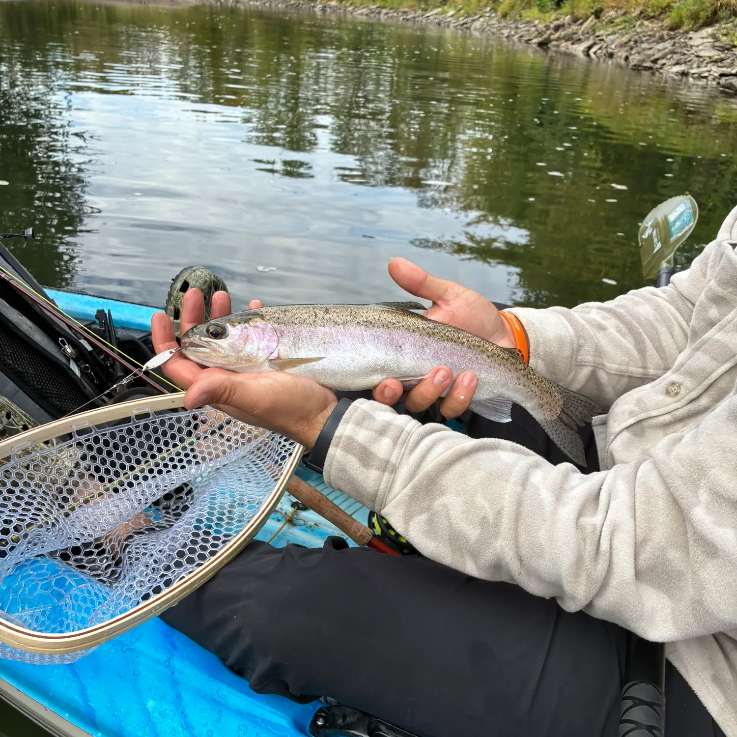 Rainbow trout caught on Fishbrain