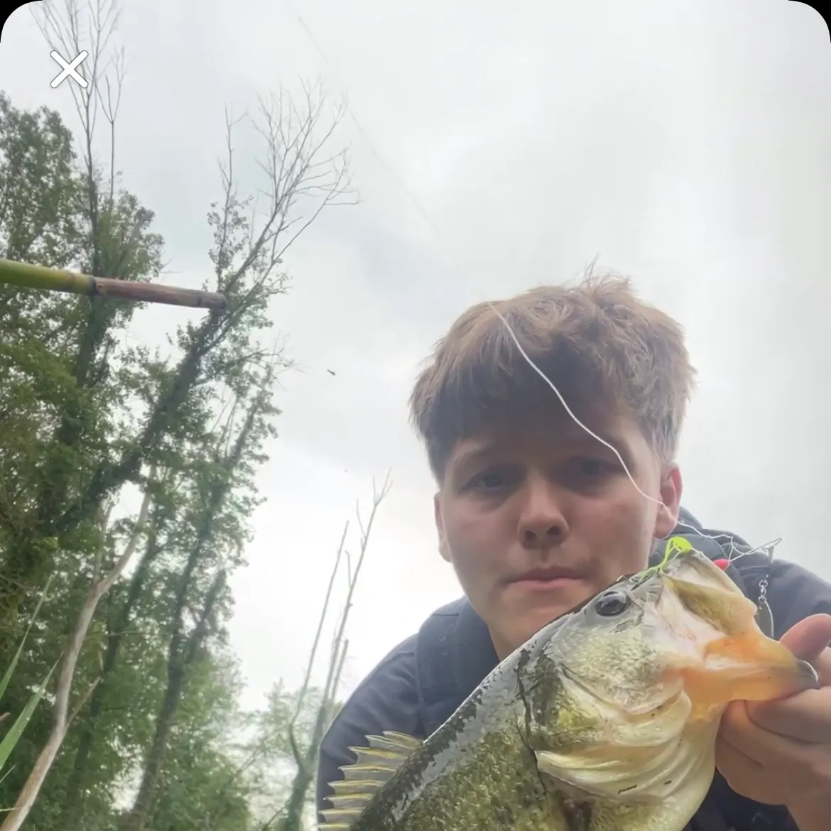 Largemouth bass caught on Fishbrain