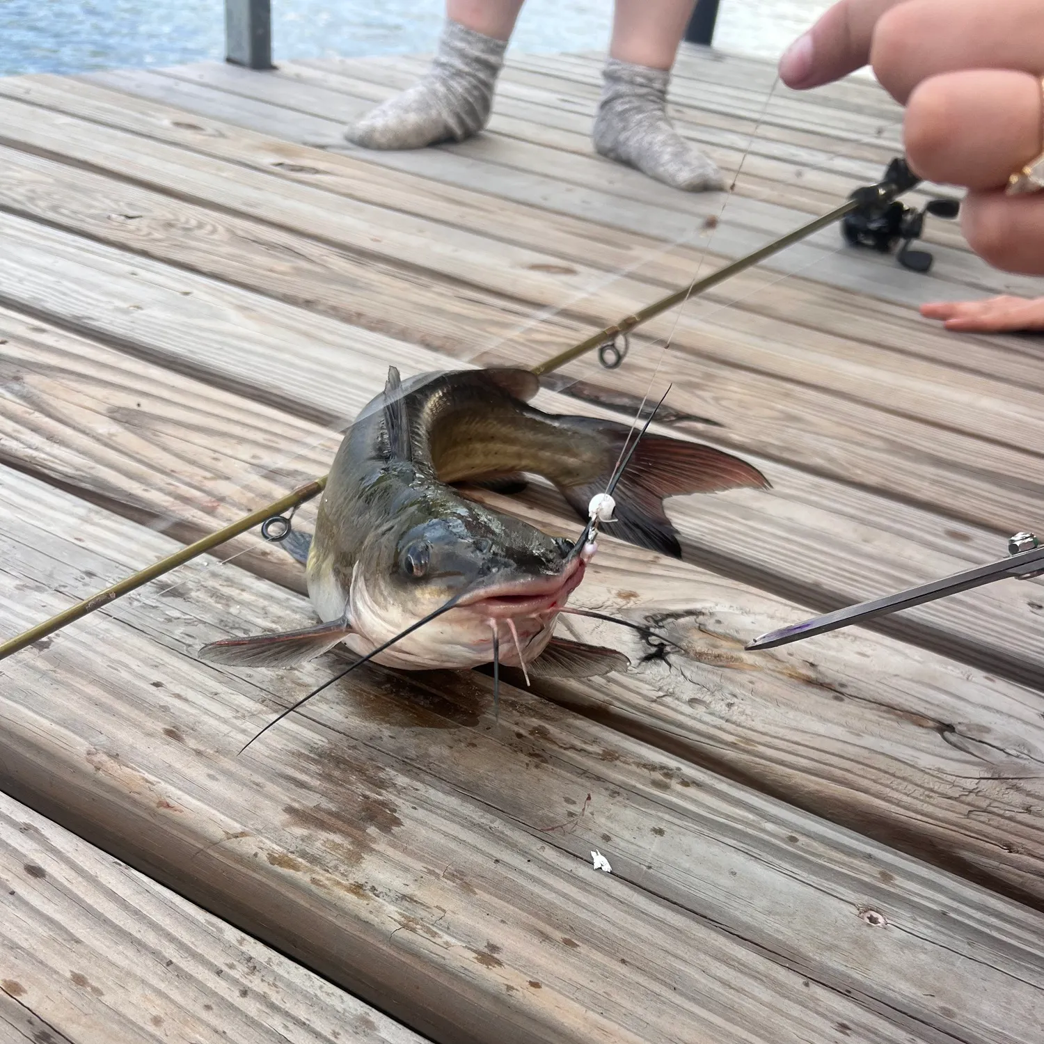 catch