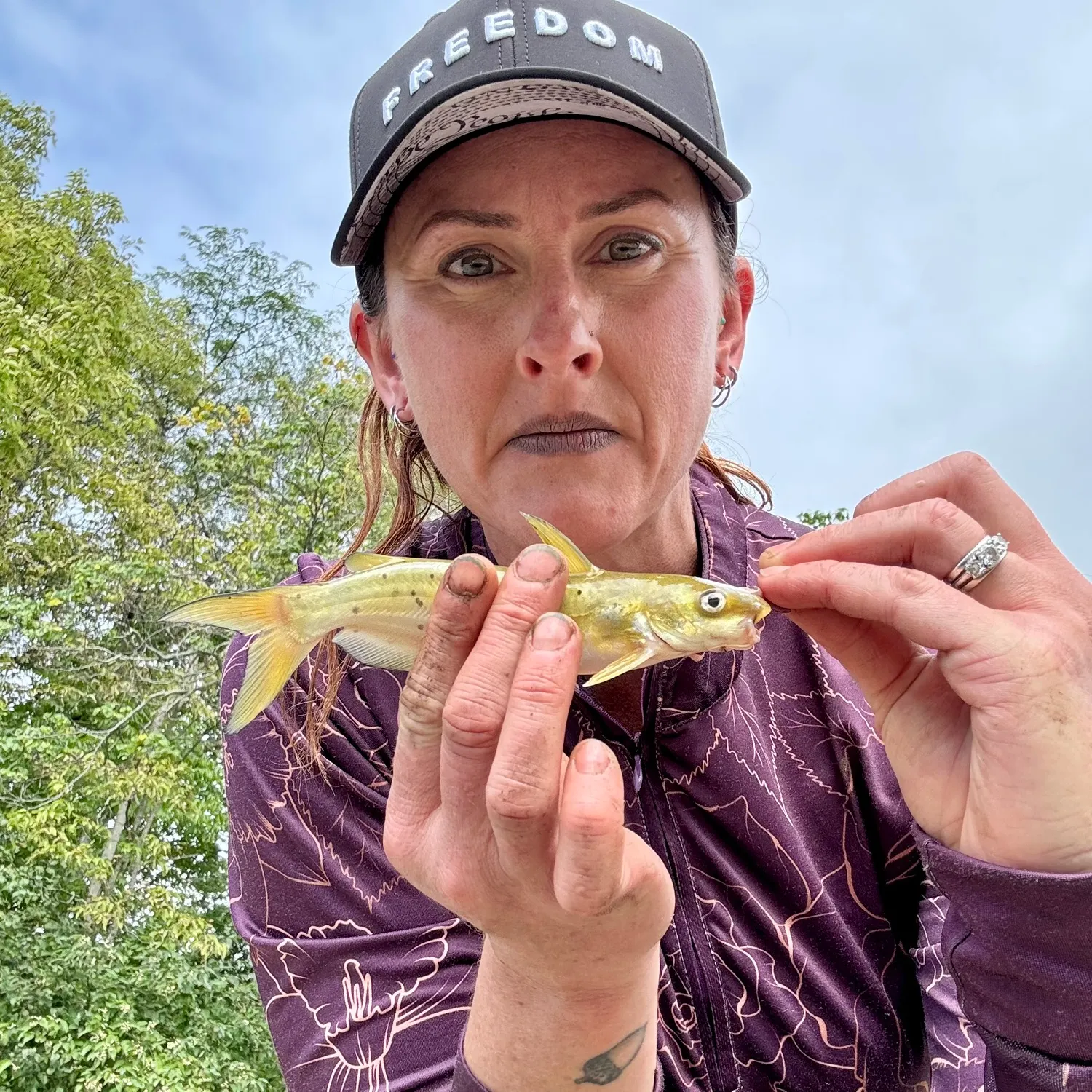Channel catfish caught on Fishbrain