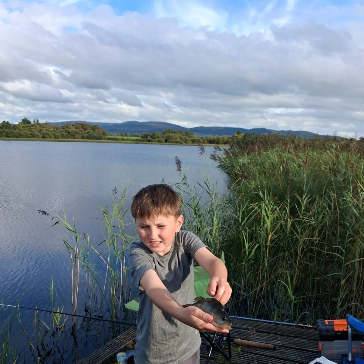 European perch caught on Fishbrain