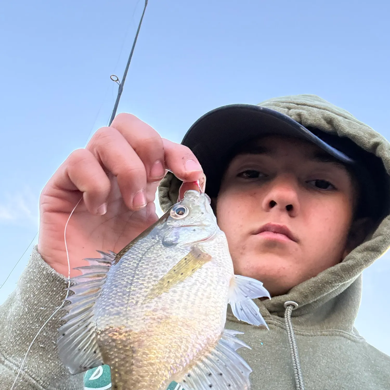Bluegill caught on Fishbrain