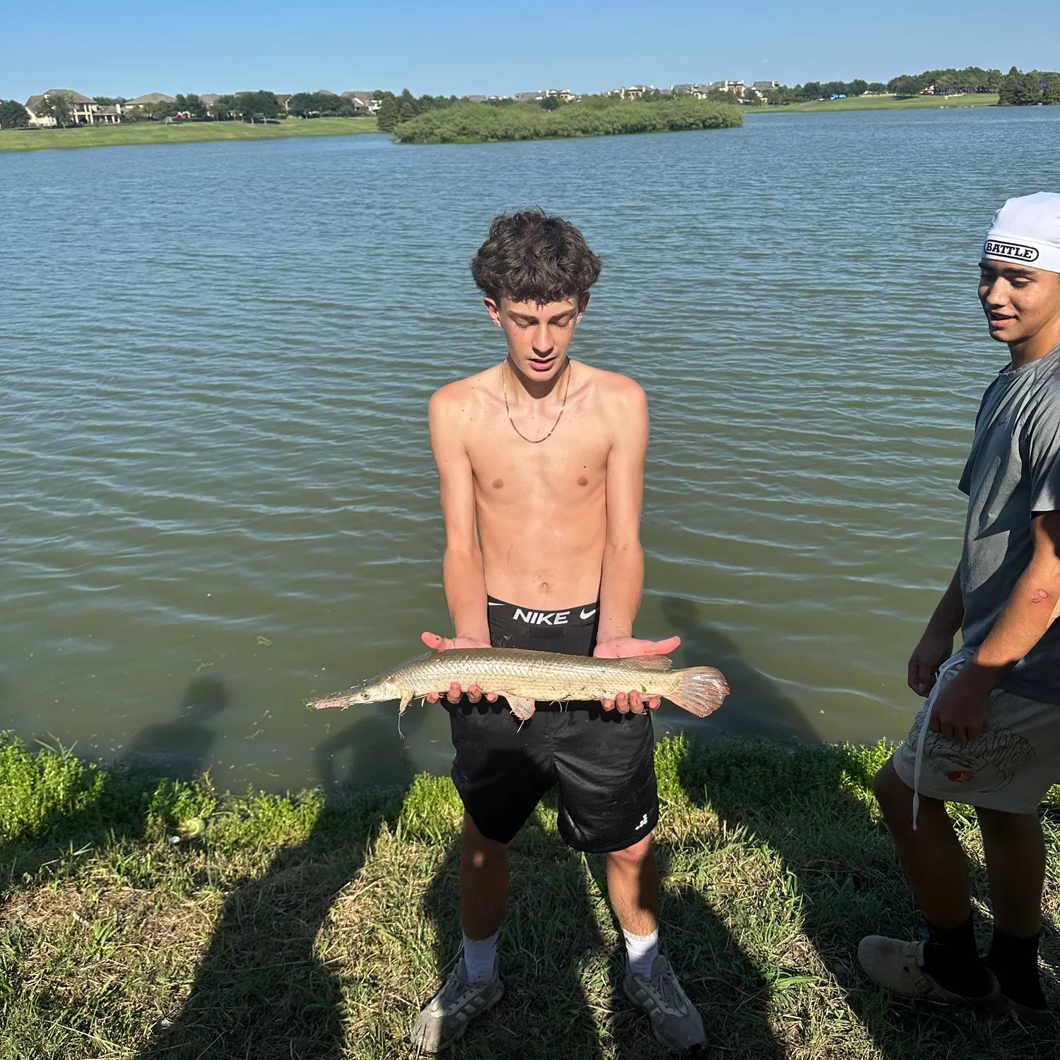 Shortnose gar caught on Fishbrain