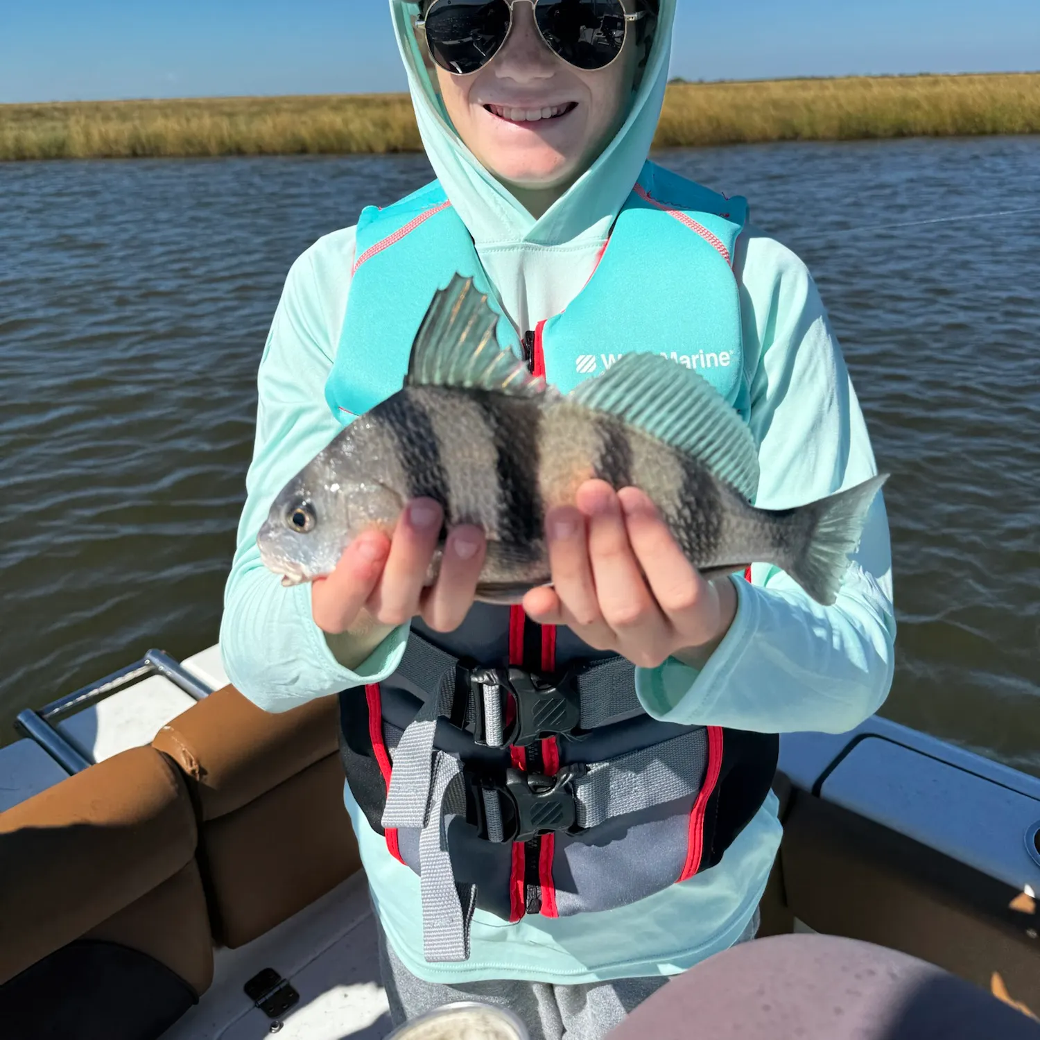 Black drum caught on Fishbrain