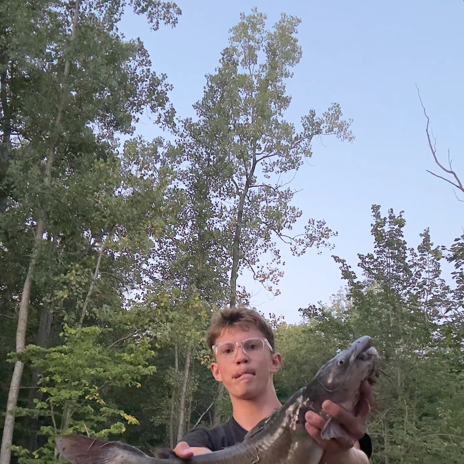 Channel catfish caught on Fishbrain