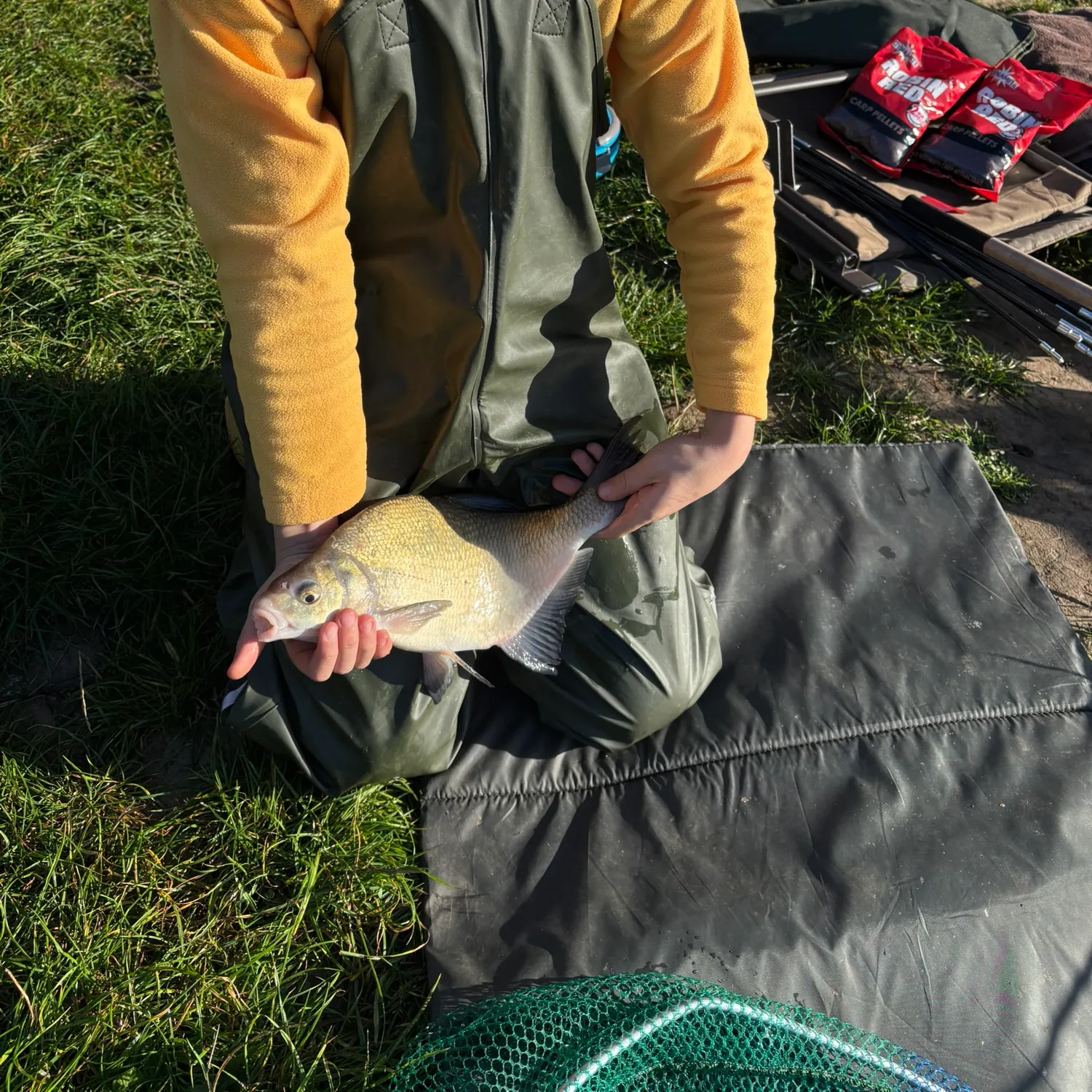 White bream caught on Fishbrain