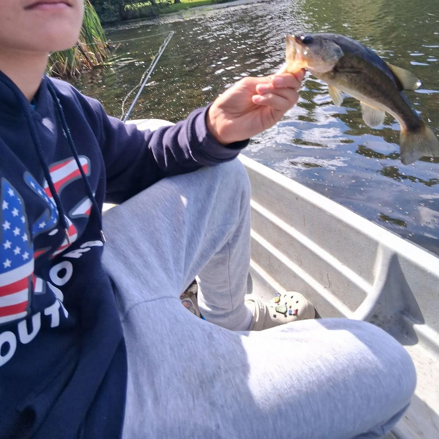 Largemouth bass caught on Fishbrain