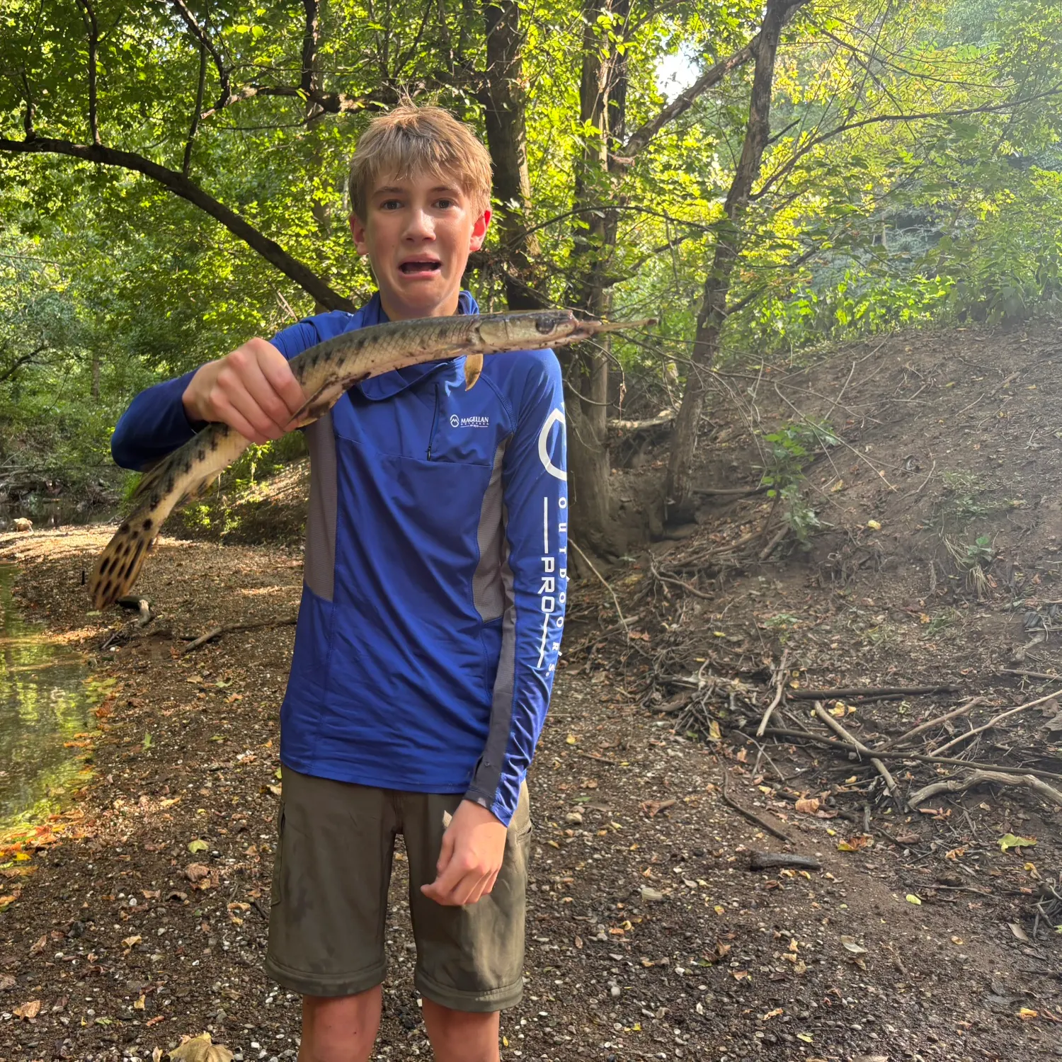 Longnose gar caught on Fishbrain