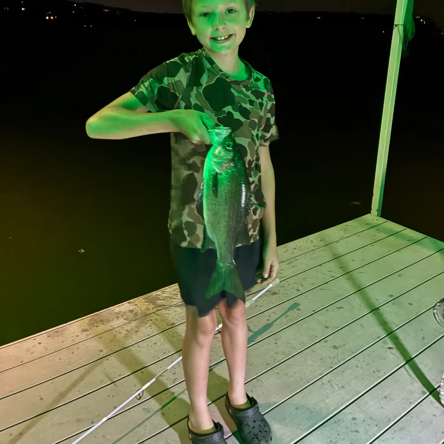 White bass caught on Fishbrain