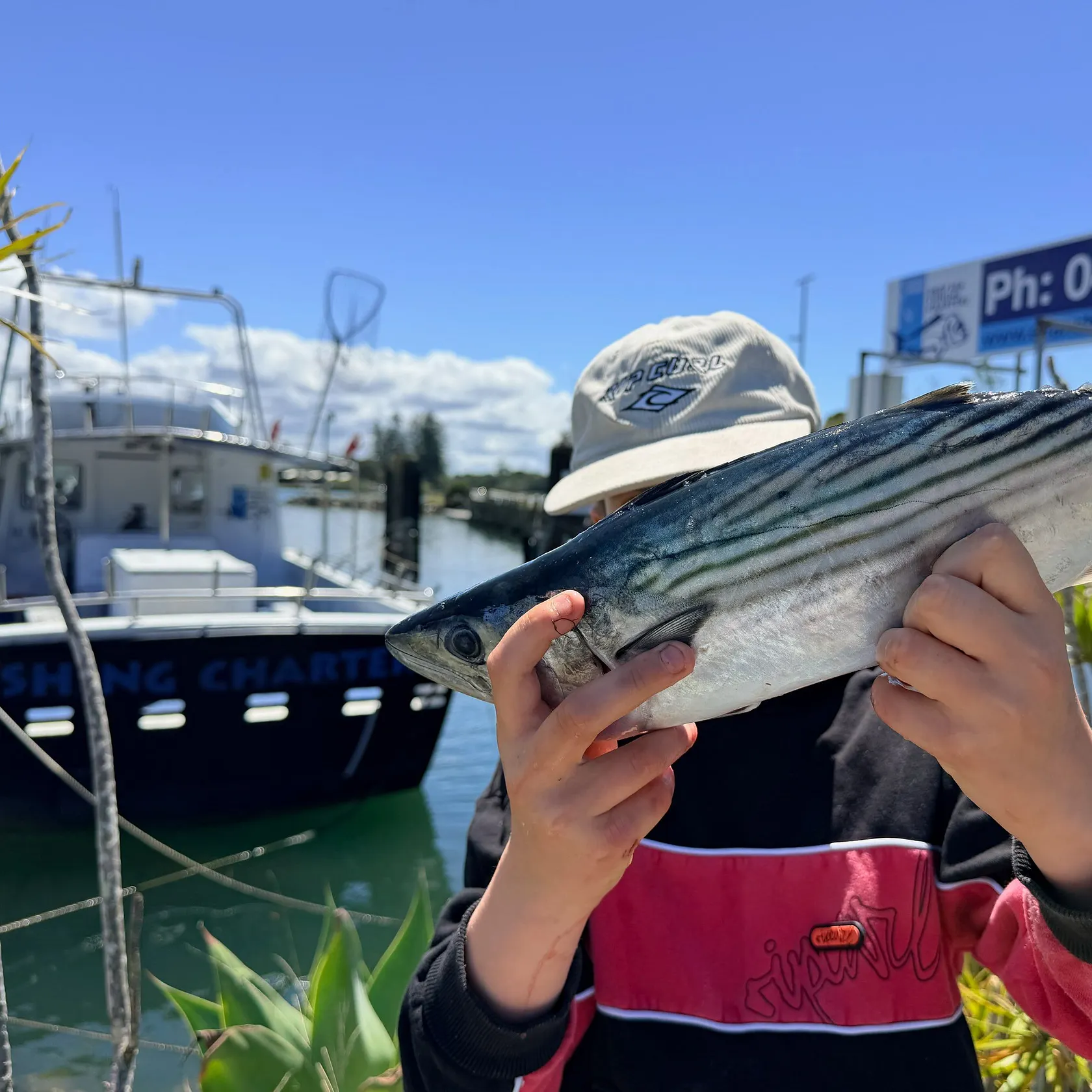 The most recent Australian bonito catches on Fishbrain