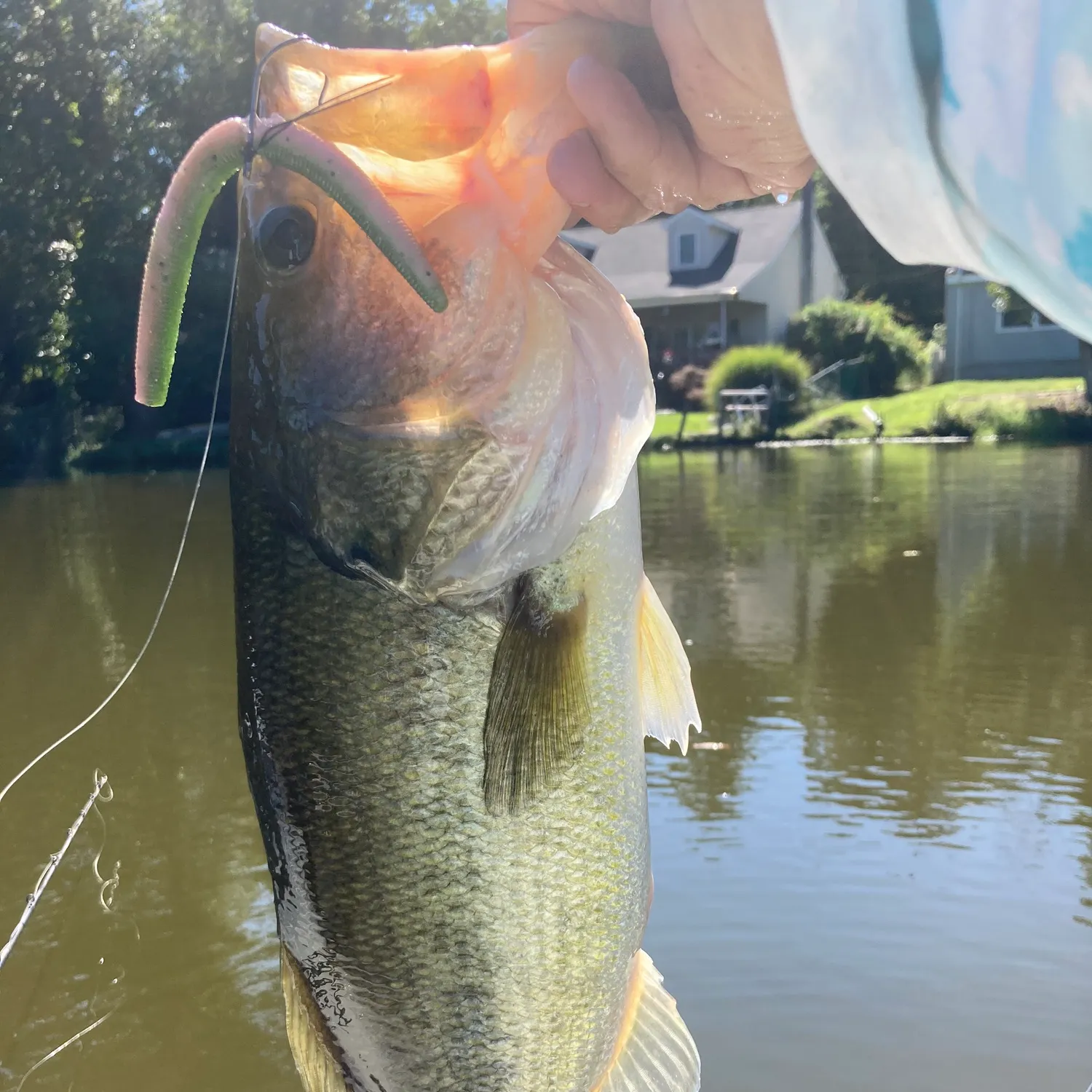 Fish caught on Fishbrain