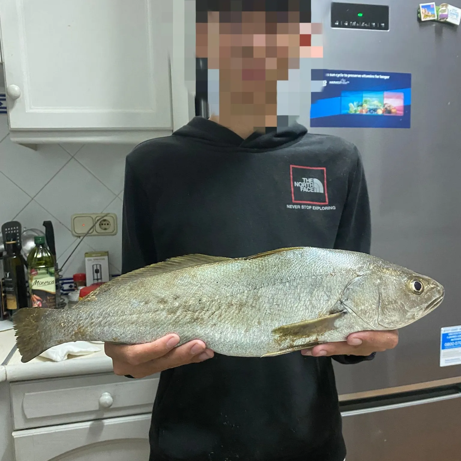Jamaica weakfish caught on Fishbrain
