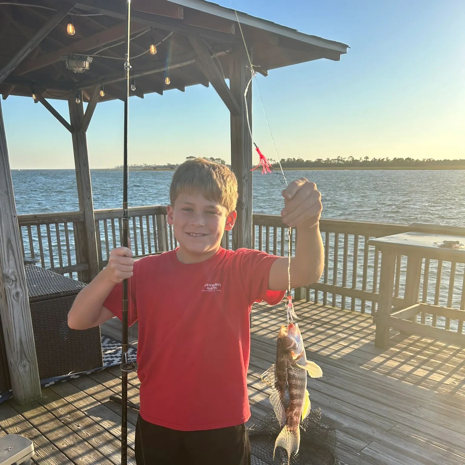 The most recent Rock sea bass catches on Fishbrain