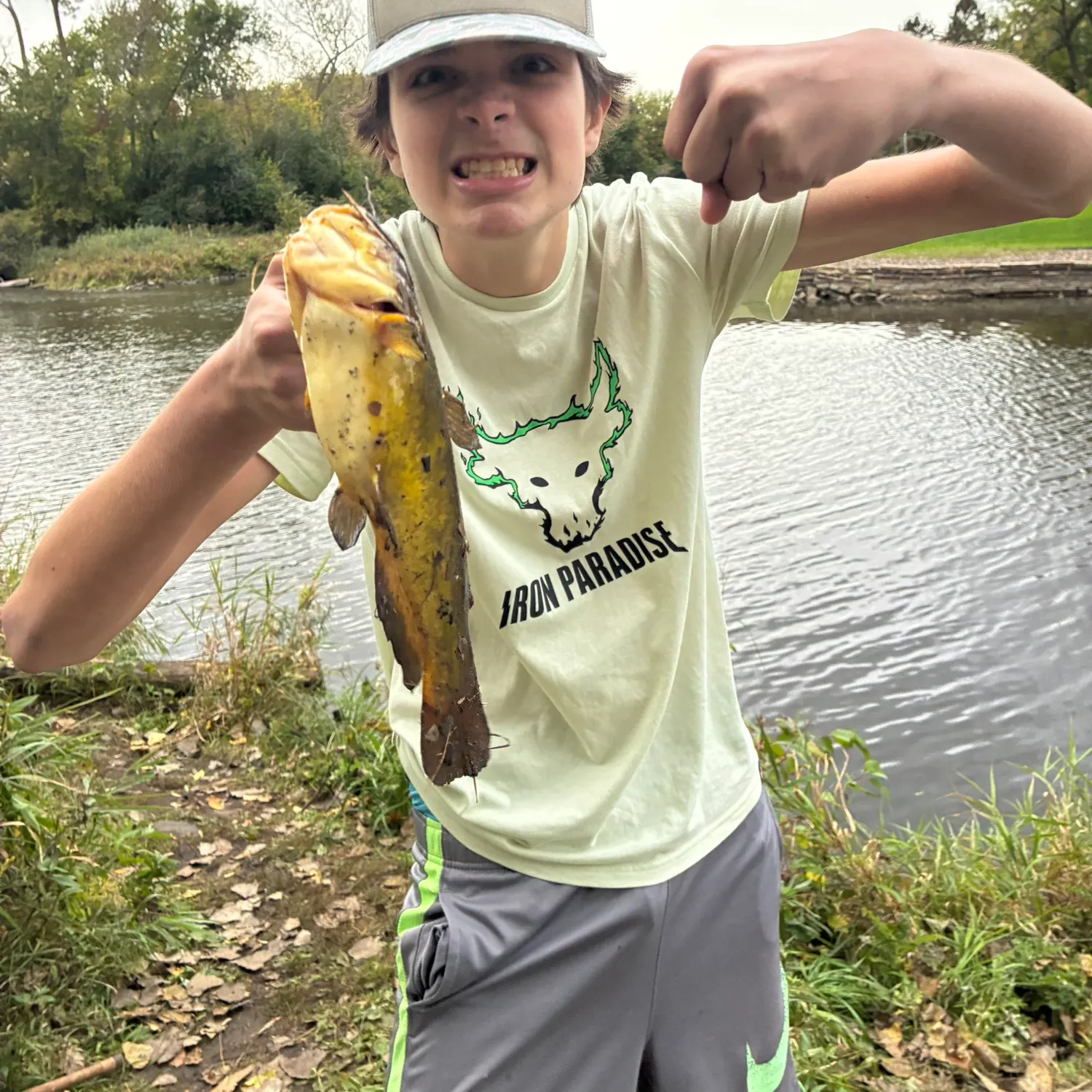 Yellow bullhead caught on Fishbrain