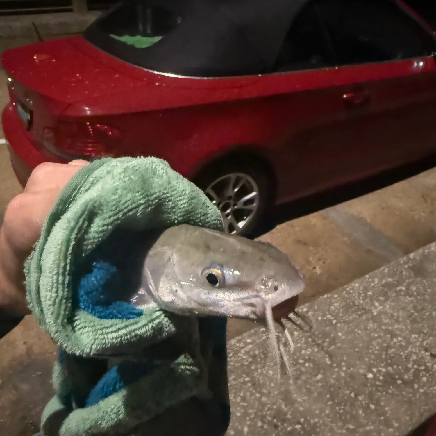 catch