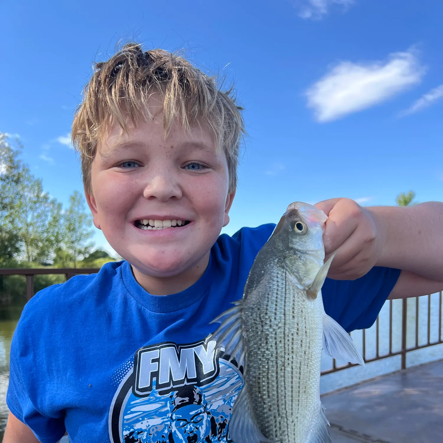 White bass caught on Fishbrain