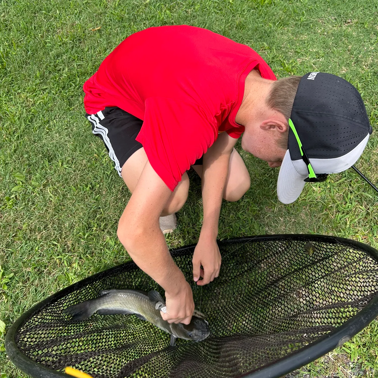 Channel catfish caught on Fishbrain