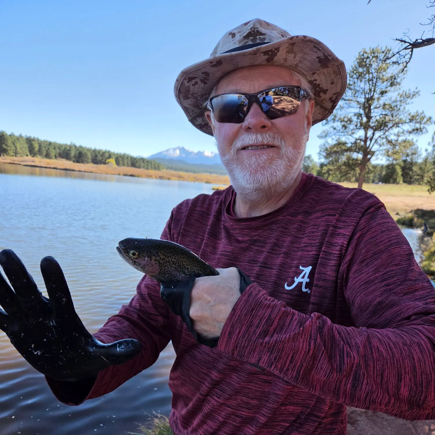 Rainbow trout caught on Fishbrain