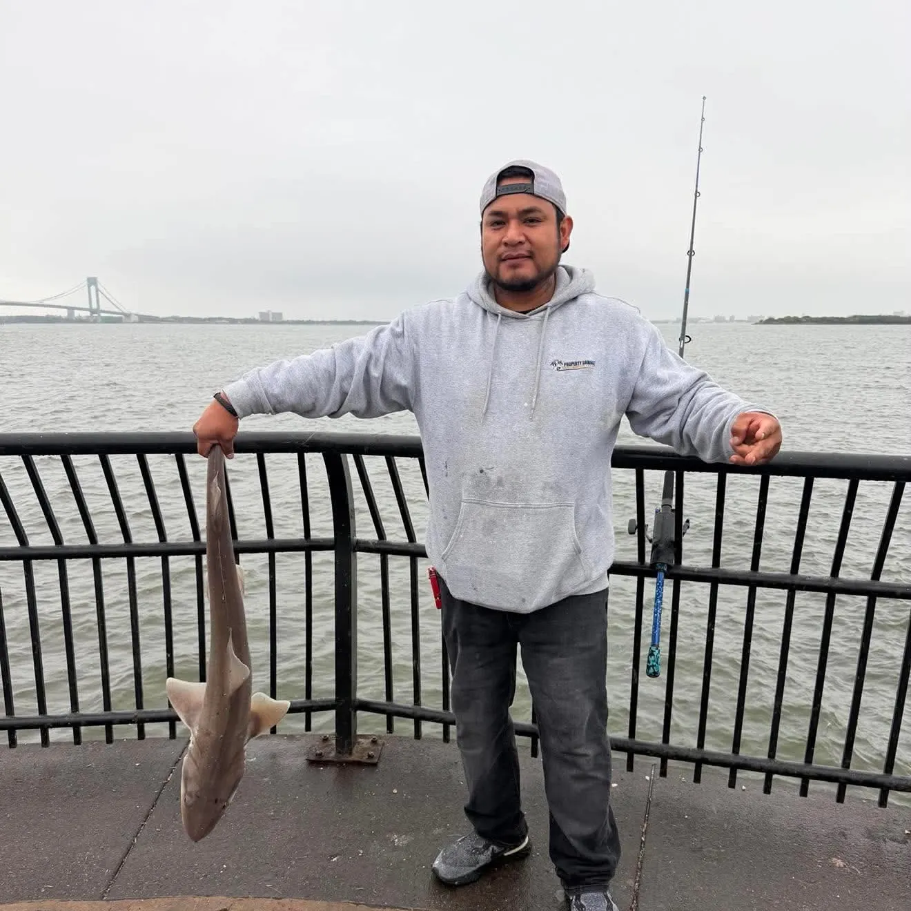 The most recent Dusky shark catches on Fishbrain