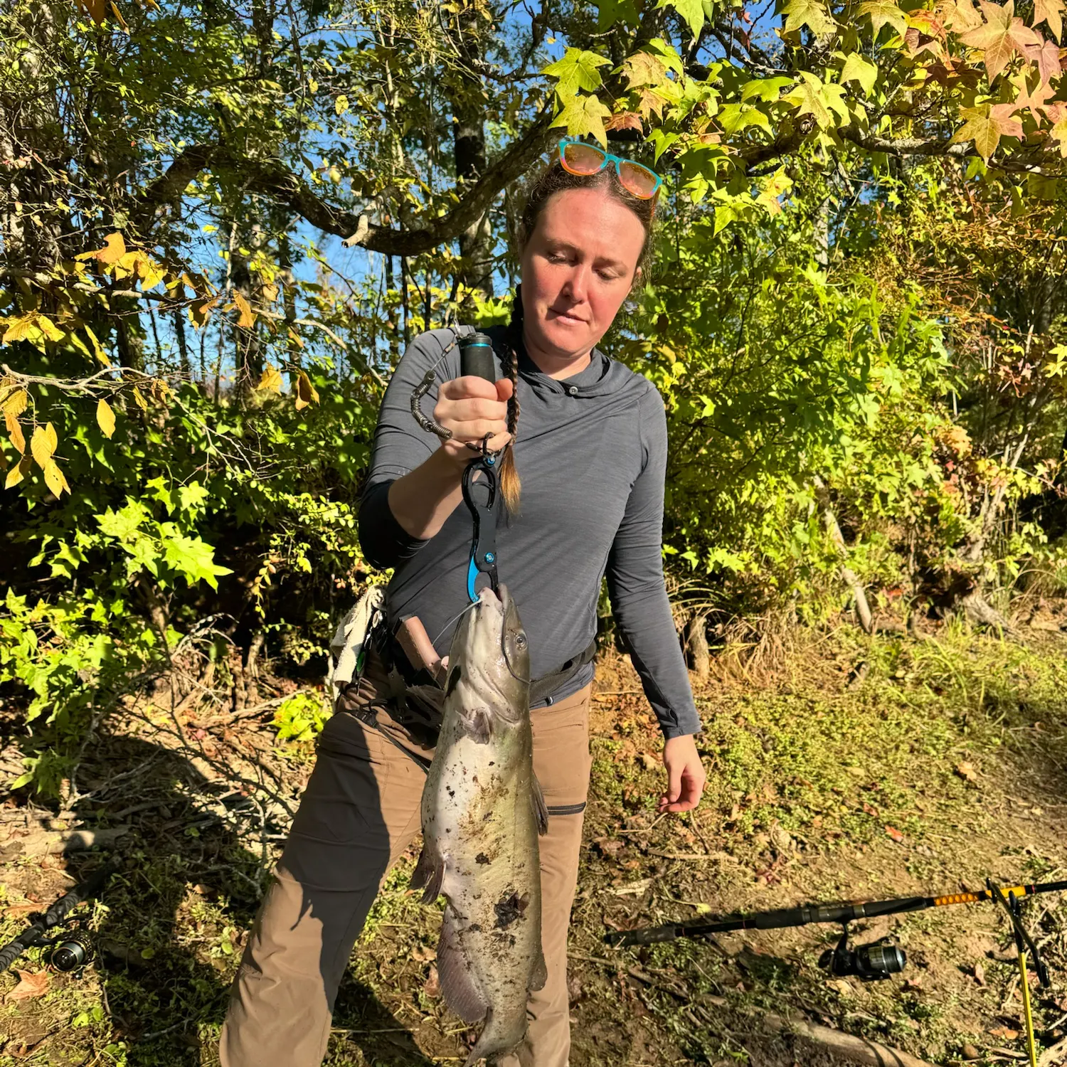 Channel catfish caught on Fishbrain