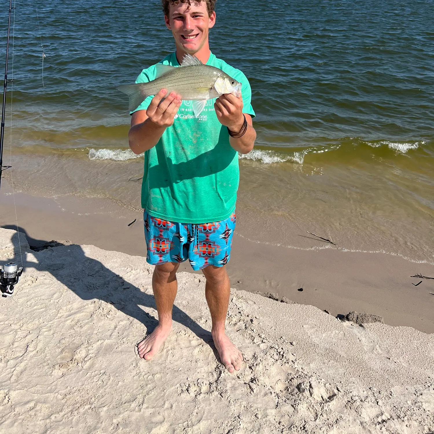 White bass caught on Fishbrain
