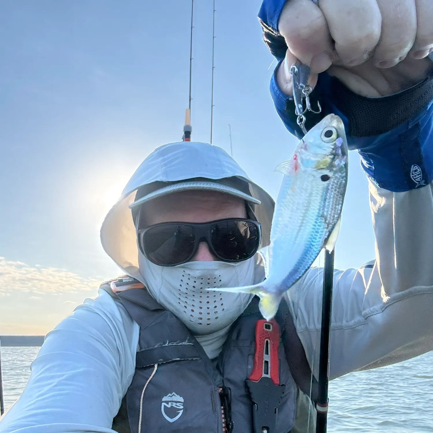 The most recent Threadfin shad catches on Fishbrain