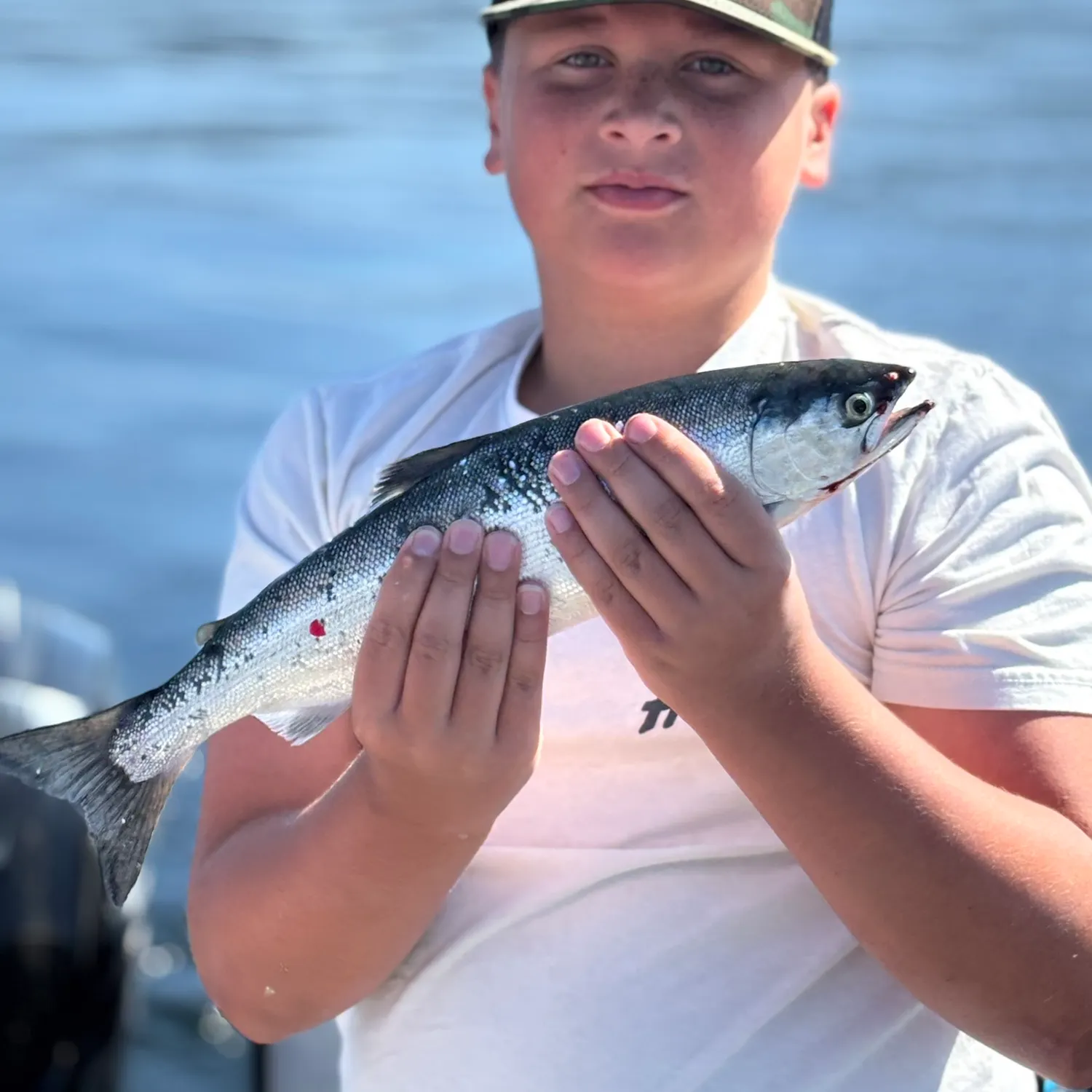 most liked catch image