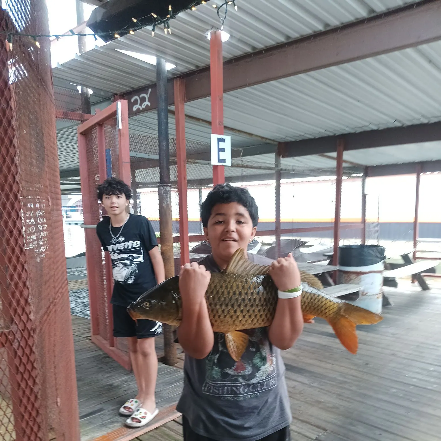 Common carp caught on Fishbrain